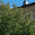 Villa Negroni